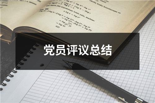 党员评议总结