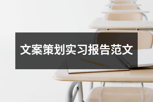 文案策划实习报告范文