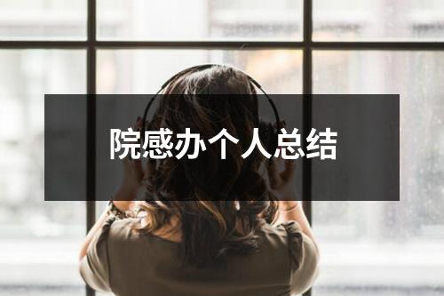 院感办个人总结