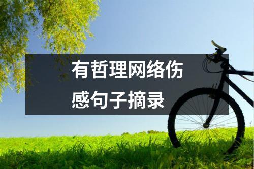 有哲理网络伤感句子摘录