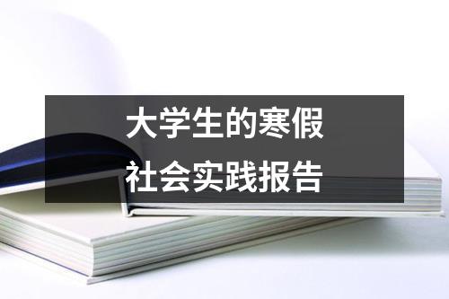 大学生的寒假社会实践报告