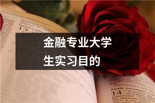 金融专业大学生实习目的