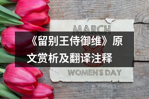 《留别王侍御维》原文赏析及翻译注释