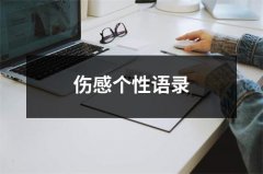 伤感个性语录（精选10篇）
