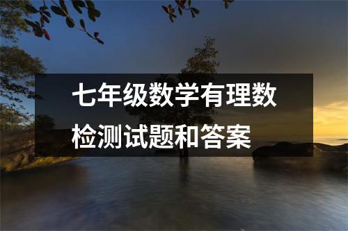 七年级数学有理数检测试题和答案