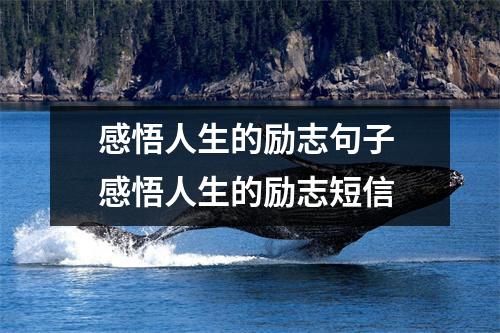 感悟人生的励志句子 感悟人生的励志短信