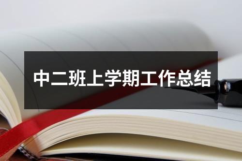 中二班上学期工作总结