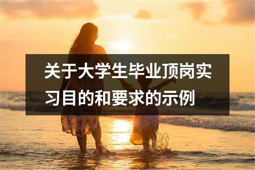 关于大学生毕业顶岗实习目的和要求的示例