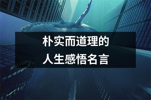 朴实而道理的人生感悟名言