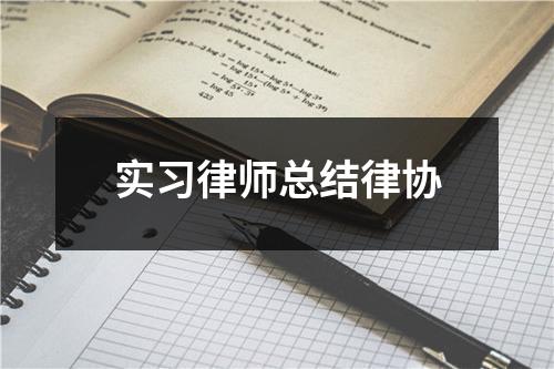实习律师总结律协