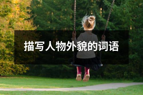 描写人物外貌的词语