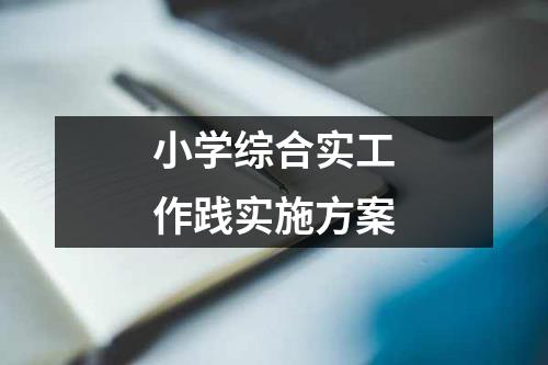 小学综合实工作践实施方案