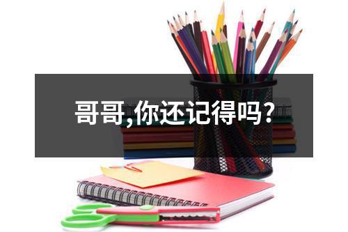 哥哥,你还记得吗?