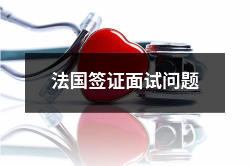 法国签证面试问题