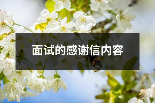 面试的感谢信内容
