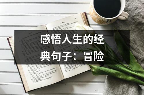 感悟人生的经典句子：冒险