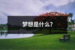 梦想是什么？（精选10篇）