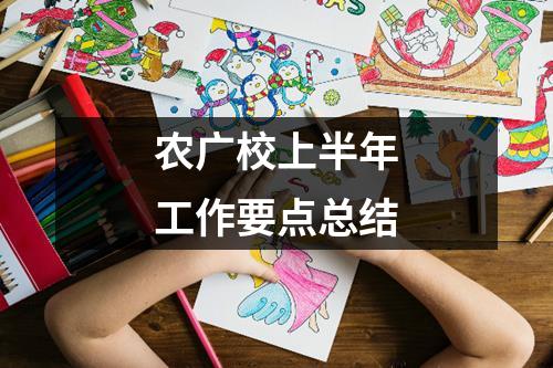 农广校上半年工作要点总结
