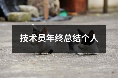 技术员年终总结个人