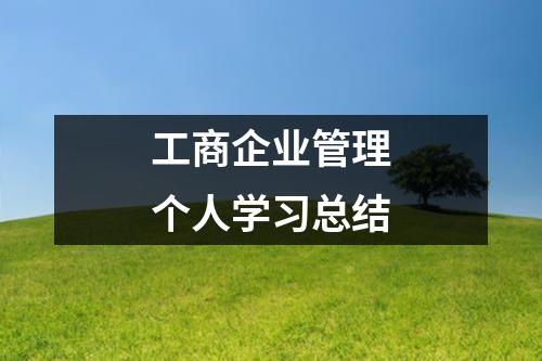 工商企业管理个人学习总结