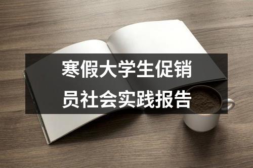 寒假大学生促销员社会实践报告