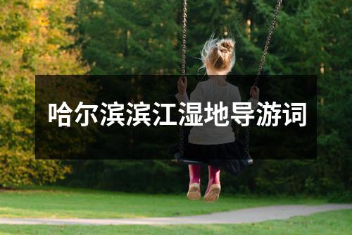 哈尔滨滨江湿地导游词