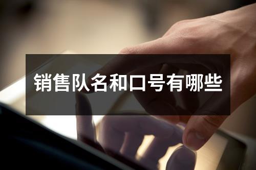 销售队名和口号有哪些