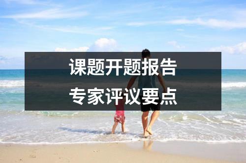 课题开题报告专家评议要点
