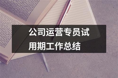 公司运营专员试用期工作总结