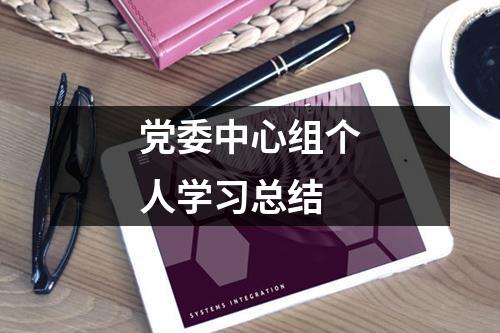 党委中心组个人学习总结