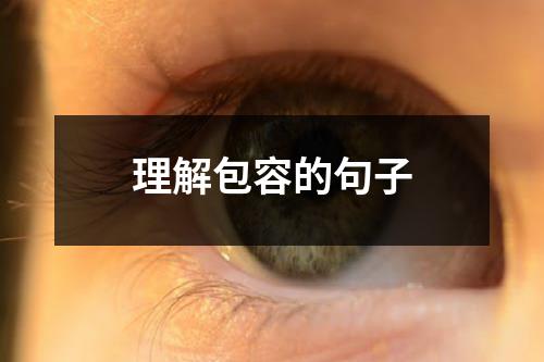 理解包容的句子