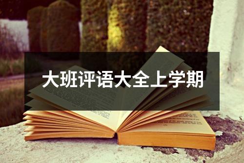 大班评语大全上学期