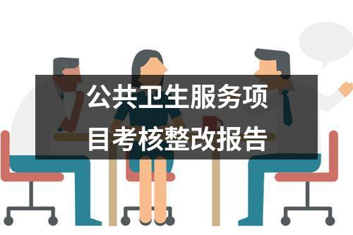 公共卫生服务项目考核整改报告