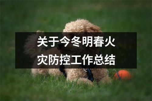 关于今冬明春火灾防控工作总结
