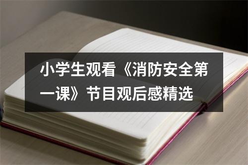 小学生观看《消防安全第一课》节目观后感精选