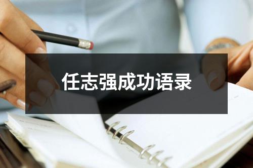 任志强成功语录