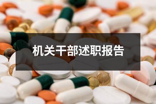 机关干部述职报告