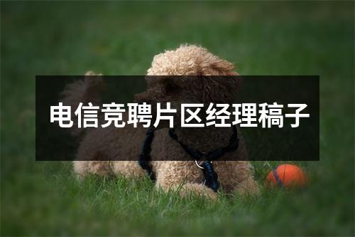 电信竞聘片区经理稿子