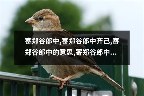 寄郑谷郎中,寄郑谷郎中齐己,寄郑谷郎中的意思,寄郑谷郎中赏析
