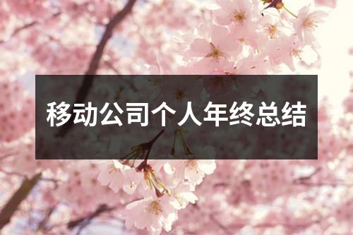 移动公司个人年终总结