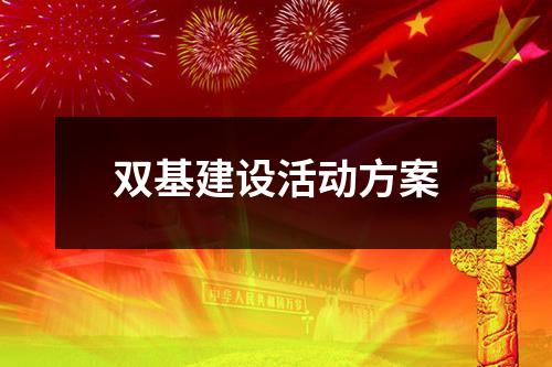 双基建设活动方案