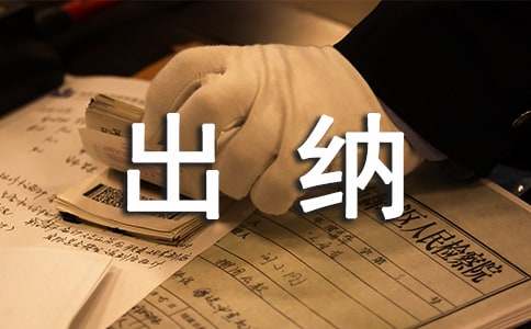 出纳个人工作总结6篇