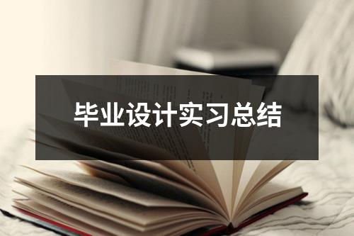 毕业设计实习总结