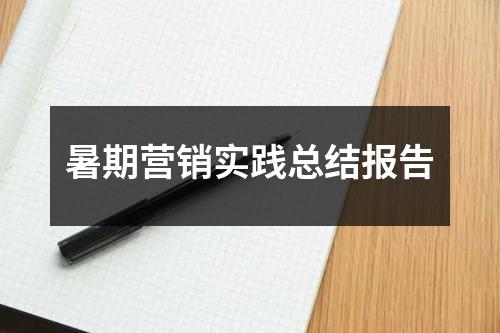 暑期营销实践总结报告