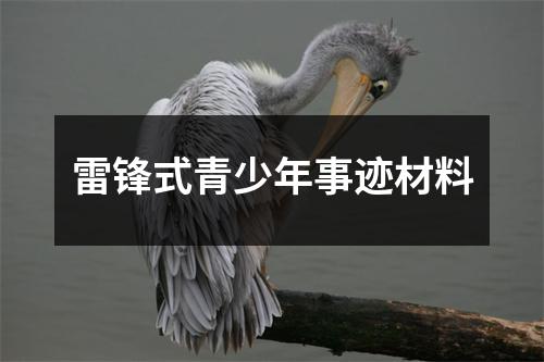 雷锋式青少年事迹材料