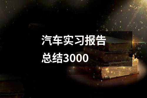 汽车实习报告总结3000