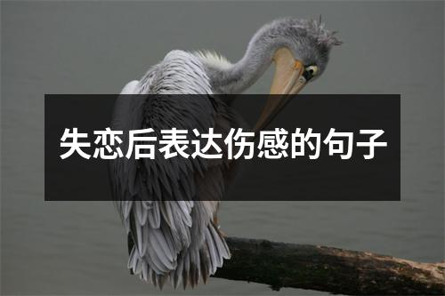 失恋后表达伤感的句子