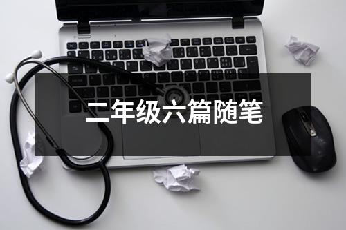 二年级六篇随笔