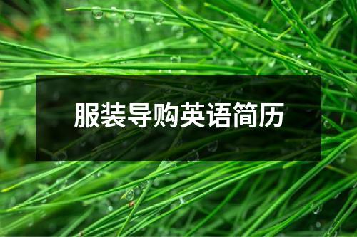 服装导购英语简历