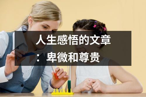 人生感悟的文章：卑微和尊贵